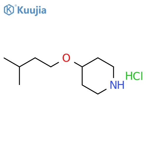 4-(3-methylbutoxy)piperidine hydrochloride structure