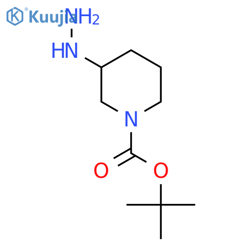 tert-butyl 3-hydrazinopiperidine-1-carboxylate structure