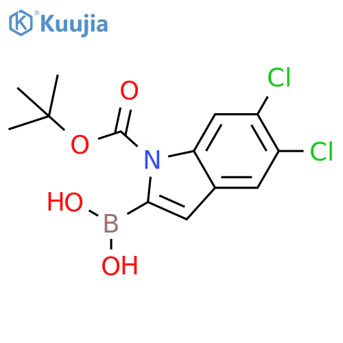 (1-(tert-butoxycarbonyl)-5,6-dichloro-1H-indol-2-yl)boronic acid structure