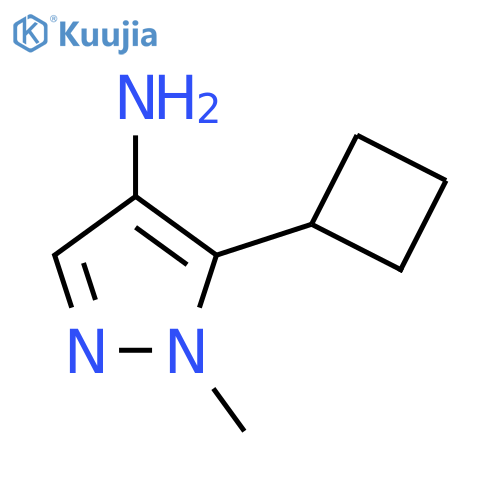 1H-Pyrazol-4-amine, 5-cyclobutyl-1-methyl- structure