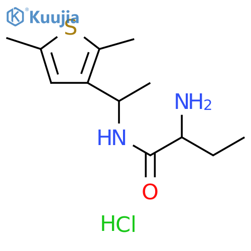2-amino-N-1-(2,5-dimethylthiophen-3-yl)ethylbutanamide hydrochloride structure