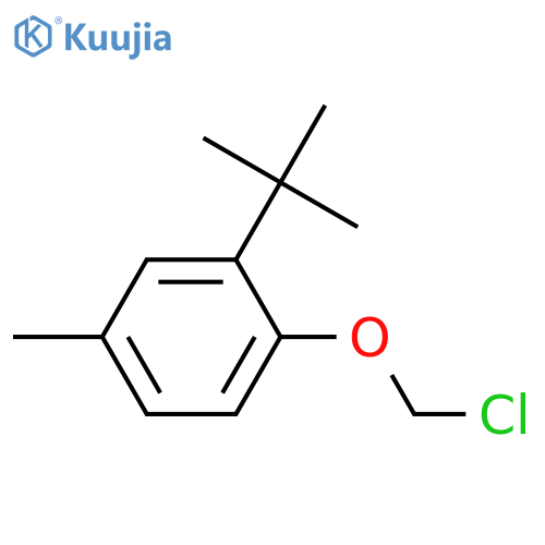 Benzene, 1-(chloromethoxy)-2-(1,1-dimethylethyl)-4-methyl- structure