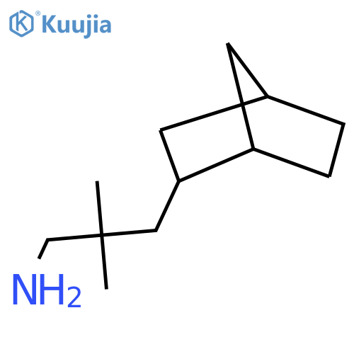 3-{bicyclo2.2.1heptan-2-yl}-2,2-dimethylpropan-1-amine structure