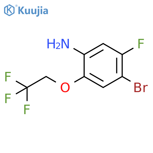 4-Bromo-5-fluoro-2-(2,2,2-trifluoroethoxy)aniline structure