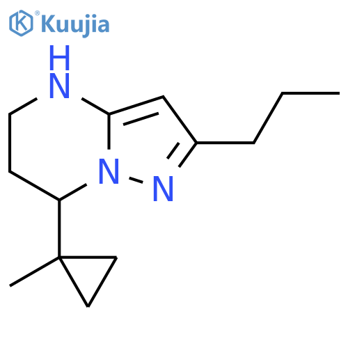 7-(1-methylcyclopropyl)-2-propyl-4H,5H,6H,7H-pyrazolo1,5-apyrimidine structure