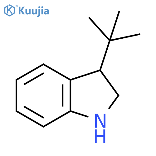 3-tert-butyl-2,3-dihydro-1H-indole structure