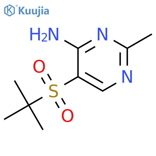 5-(tert-Butylsulfonyl)-2-methylpyrimidin-4-amine structure