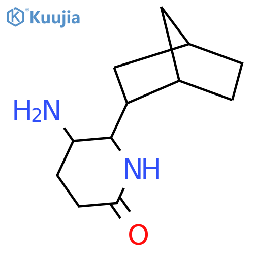 5-amino-6-{bicyclo2.2.1heptan-2-yl}piperidin-2-one structure