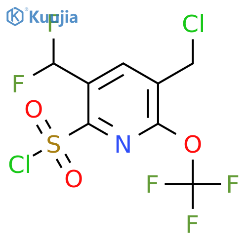 3-(Chloromethyl)-5-(difluoromethyl)-2-(trifluoromethoxy)pyridine-6-sulfonyl chloride structure
