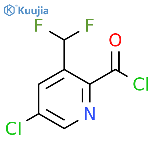 5-Chloro-3-(difluoromethyl)pyridine-2-carbonyl chloride structure