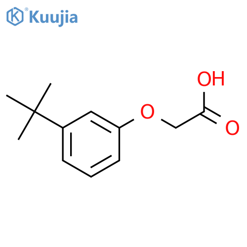 2-(3-tert-butylphenoxy)acetic Acid structure