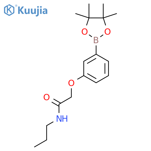 N-Propyl-2-(3-(4,4,5,5-tetramethyl-1,3,2-dioxaborolan-2-yl)phenoxy)acetamide structure
