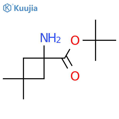 Tert-butyl 1-amino-3,3-dimethylcyclobutane-1-carboxylate structure