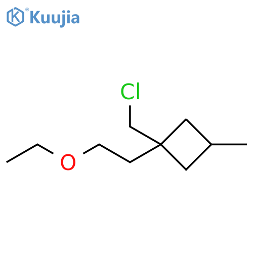 Cyclobutane, 1-(chloromethyl)-1-(2-ethoxyethyl)-3-methyl- structure
