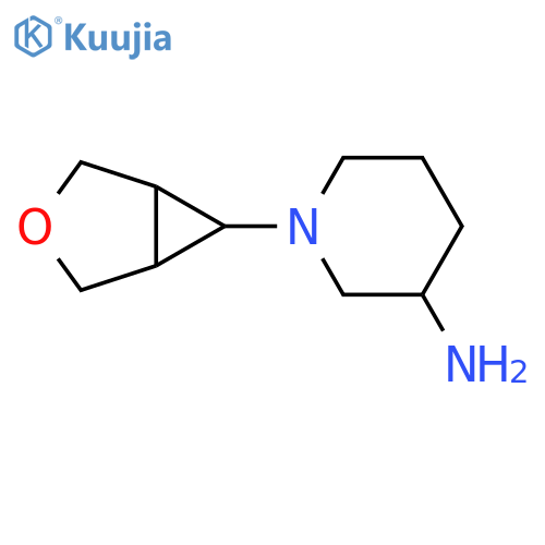 1-{3-oxabicyclo3.1.0hexan-6-yl}piperidin-3-amine structure