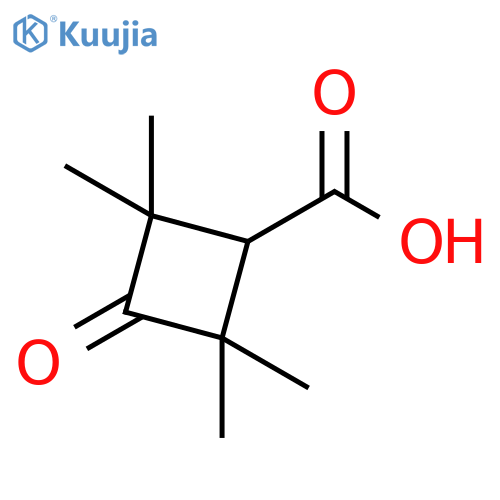 Cyclobutanecarboxylic acid, 2,2,4,4-tetramethyl-3-oxo- structure