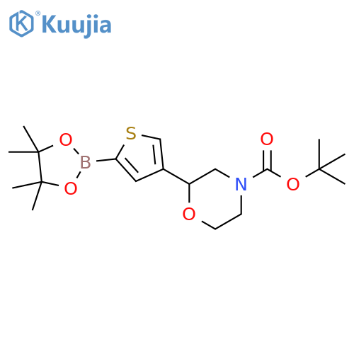 tert-butyl 2-(5-(4,4,5,5-tetramethyl-1,3,2-dioxaborolan-2-yl)thiophen-3-yl)morpholine-4-carboxylate structure