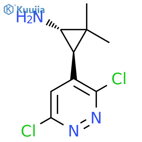 rac-(1R,3R)-3-(3,6-dichloropyridazin-4-yl)-2,2-dimethylcyclopropan-1-amine structure
