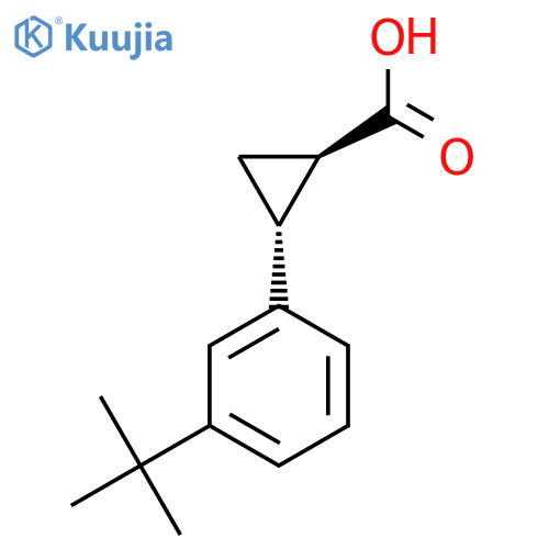 rac-(1R,2R)-2-(3-tert-butylphenyl)cyclopropane-1-carboxylic acid structure
