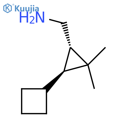 rac-(1R,3R)-3-cyclobutyl-2,2-dimethylcyclopropylmethanamine structure