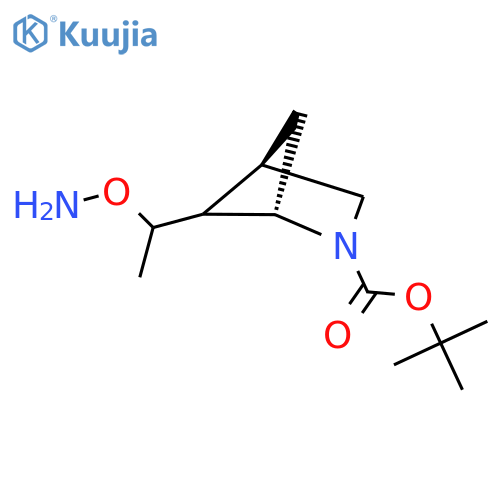tert-butyl (1S,4R)-5-[1-(aminooxy)ethyl]-2-azabicyclo[2.1.1]hexane-2-carboxylate structure