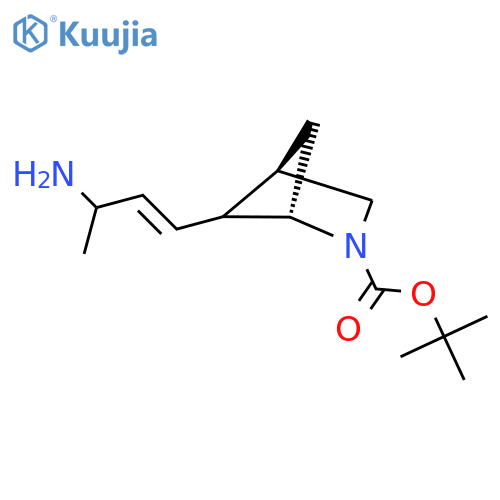 tert-butyl (1S,4R)-5-(3-aminobut-1-en-1-yl)-2-azabicyclo2.1.1hexane-2-carboxylate structure