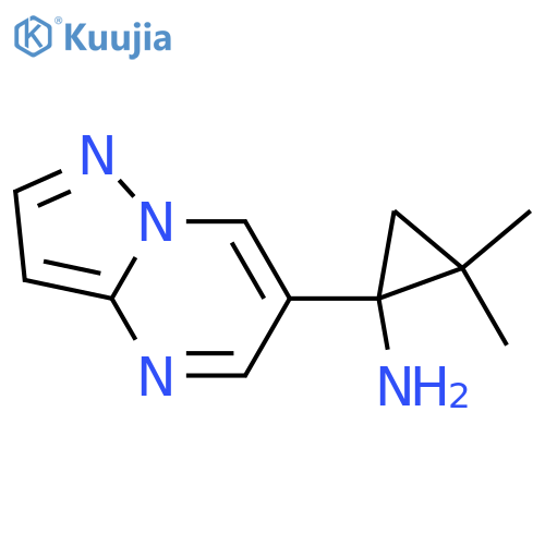 2,2-dimethyl-1-{pyrazolo1,5-apyrimidin-6-yl}cyclopropan-1-amine structure