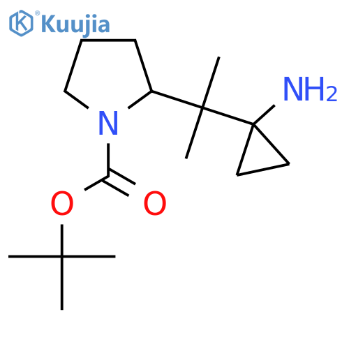 tert-butyl 2-2-(1-aminocyclopropyl)propan-2-ylpyrrolidine-1-carboxylate structure