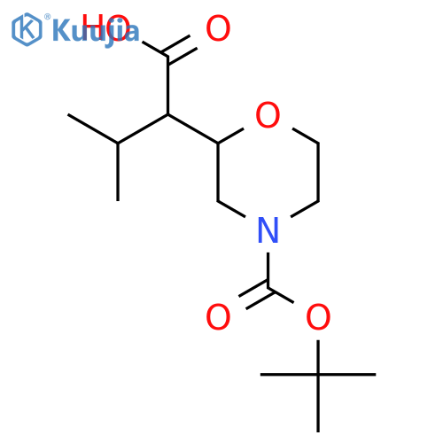 2-{4-(tert-butoxy)carbonylmorpholin-2-yl}-3-methylbutanoic acid structure
