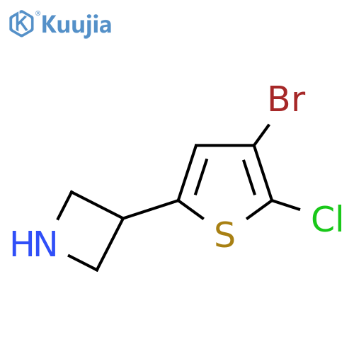 3-(4-bromo-5-chlorothiophen-2-yl)azetidine structure