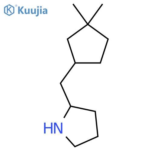 2-(3,3-dimethylcyclopentyl)methylpyrrolidine structure
