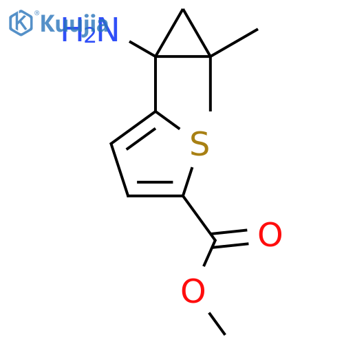 methyl 5-(1-amino-2,2-dimethylcyclopropyl)thiophene-2-carboxylate structure