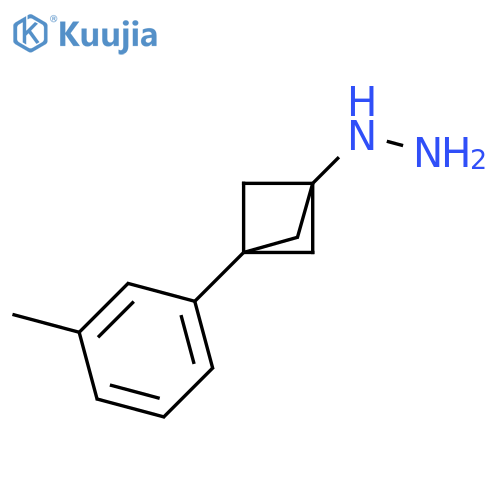 [3-(3-Methylphenyl)bicyclo[1.1.1]pent-1-yl]hydrazine structure