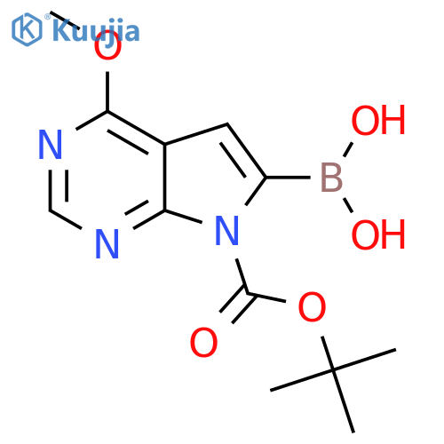 7-BOC-4-Methoxypyrrolo[2,3-d]pyrimidine-6-boronic acid structure
