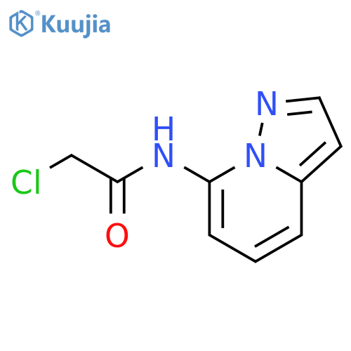 2-chloro-N-{pyrazolo1,5-apyridin-7-yl}acetamide structure