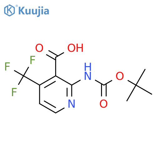 2-{(tert-butoxy)carbonylamino}-4-(trifluoromethyl)pyridine-3-carboxylic acid structure