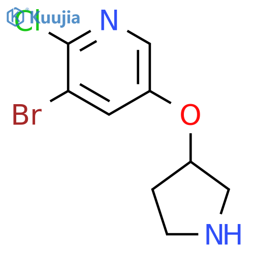 Pyridine, 3-bromo-2-chloro-5-(3-pyrrolidinyloxy)- structure