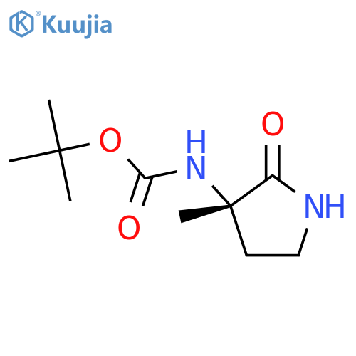 tert-butyl N-(3S)-3-methyl-2-oxopyrrolidin-3-ylcarbamate structure