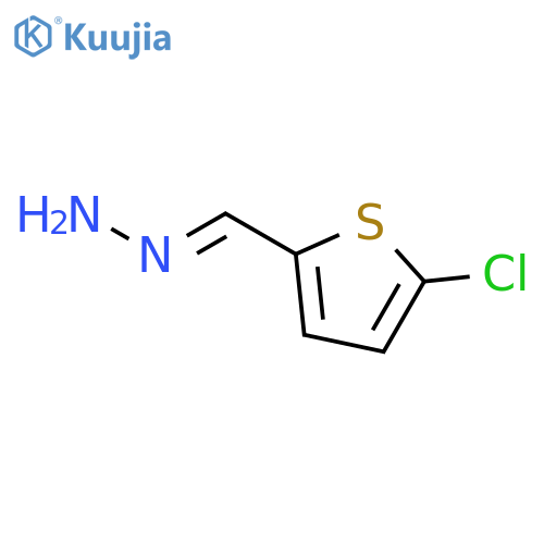 2-Thiophenecarboxaldehyde, 5-chloro-, hydrazone structure