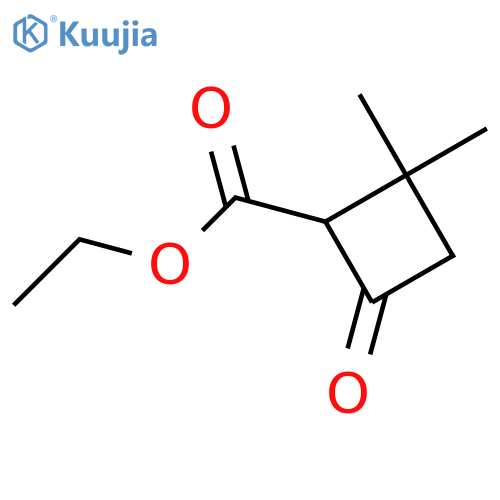 ethyl 2,2-dimethyl-4-oxocyclobutane-1-carboxylate structure