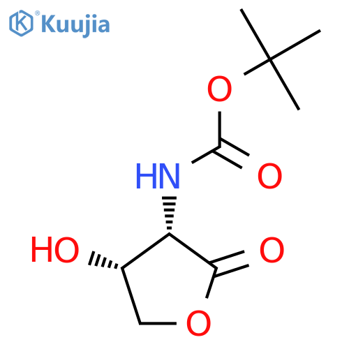tert-butyl N-(3S,4R)-4-hydroxy-2-oxooxolan-3-ylcarbamate structure