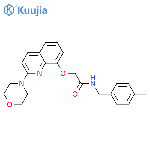 N-(4-methylphenyl)methyl-2-{2-(morpholin-4-yl)quinolin-8-yloxy}acetamide structure